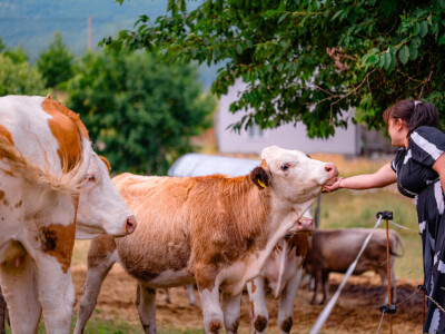 OPG Anić iz Krasnog