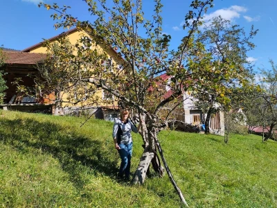 OPG Anita Pintar