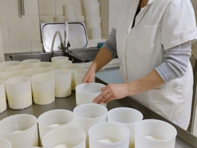OPG Anita Pintar
