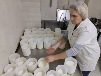 OPG Anita Pintar
