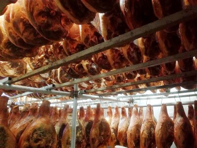 OPG Ante Buljubašić OPG Ante Buljubašić