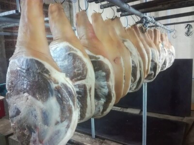 OPG Ante Buljubašić OPG Ante Buljubašić