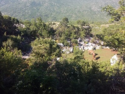 OPG Ante Buljubašić OPG Ante Buljubašić