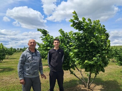 OPG Kopić-Popović - arhiva