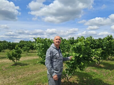 OPG Kopić-Popović - arhiva