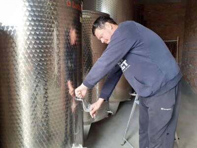 OPG Antun Glavica iz Kutine