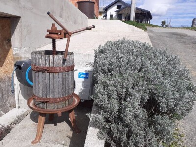 OPG Antun Glavica iz Kutine