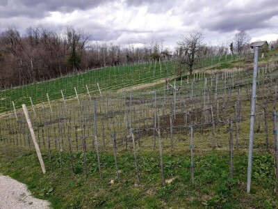 OPG Antun Glavica iz Kutine