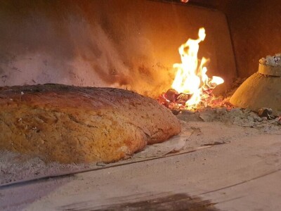 OPG Antunović u Kuni Pelješkoj