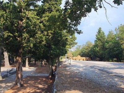 OPG Antunović u Kuni Pelješkoj