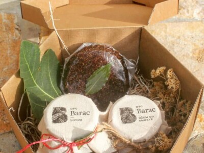 OPG Barac - uzgoj smokava