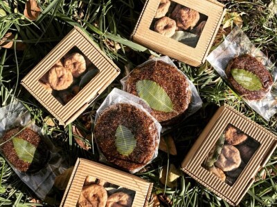 OPG Barac - uzgoj smokava