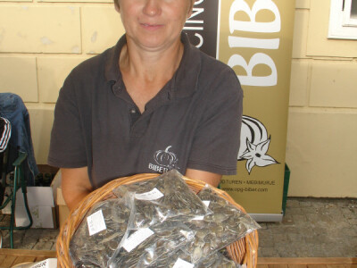 OPG Biber (bučino ulje) OPG Biber (bučino ulje)