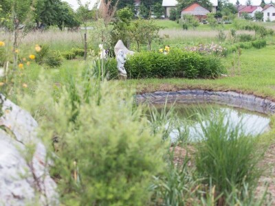 OPG Bogdanić Helena OPG Bogdanić Helena