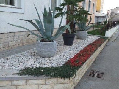 OPG Bogdanić Helena OPG Bogdanić Helena