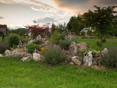 OPG Bogdanić Helena OPG Bogdanić Helena