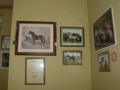 OPG Krivić - Bonanza