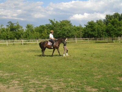 OPG Krivić - Bonanza