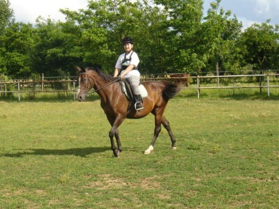 OPG Krivić - Bonanza