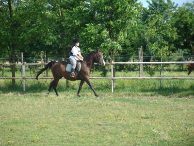 OPG Krivić - Bonanza