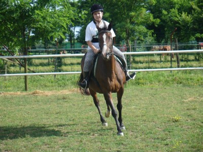 OPG Krivić - Bonanza