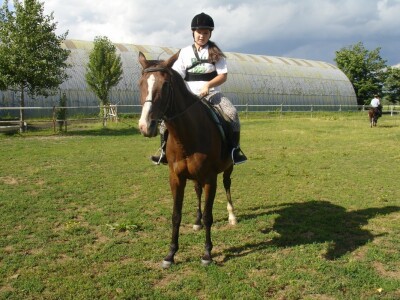 OPG Krivić - Bonanza