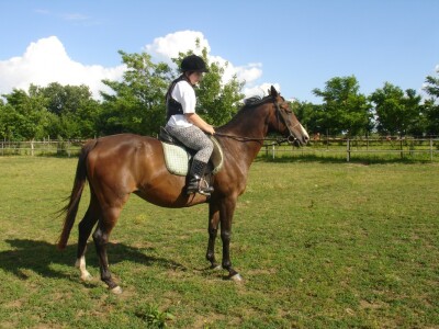 OPG Krivić - Bonanza