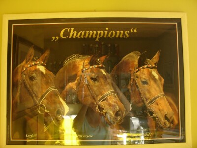 OPG Krivić - Bonanza