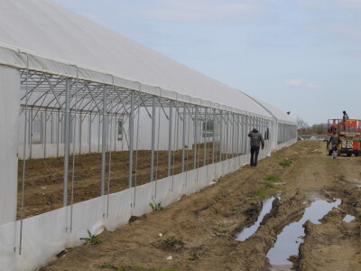 OPG Bošković Cerna