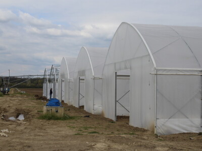 OPG Bošković Cerna