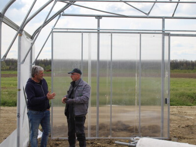 OPG Bošković Cerna