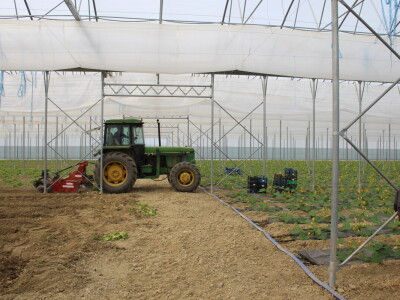 OPG Bošković Cerna