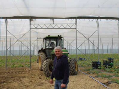 OPG Bošković Cerna