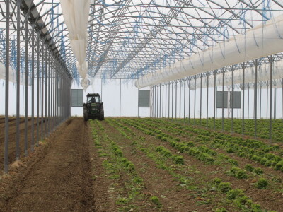 OPG Bošković Cerna