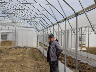 OPG Bošković Cerna