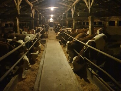 OPG Branimira Rupčića