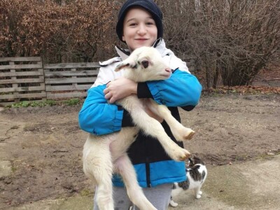 OPG Branimira Rupčića