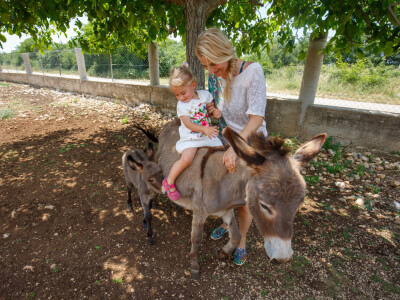 OPG Brankica Borović