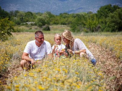 OPG Brankica Borović