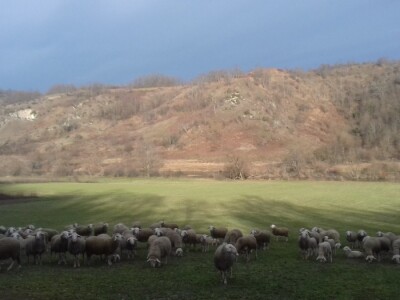 OPG Branko Sudar OPG Branko Sudar