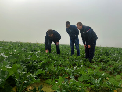 OPG Brkić Blaženka