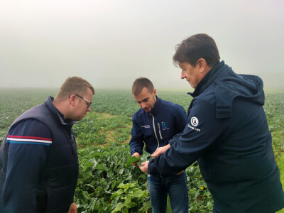 OPG Brkić Blaženka