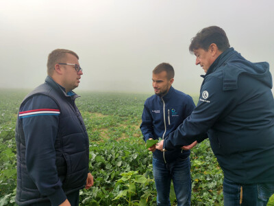 OPG Brkić Blaženka