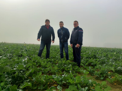 OPG Brkić Blaženka