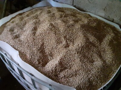 OPG Budimlija - lička pramenka OPG Budimlija - lička pramenka