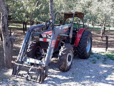 OPG Budimlija - lička pramenka
