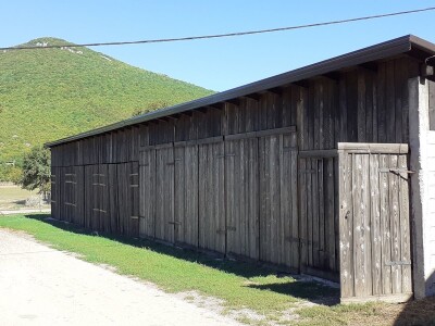 OPG Budimlija - lička pramenka OPG Budimlija - lička pramenka