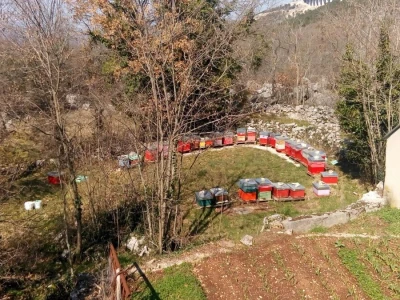 OPG Bušelić