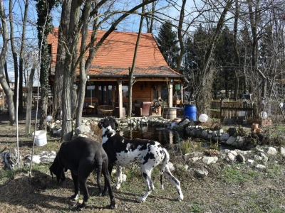 OPG Čudesna šuma