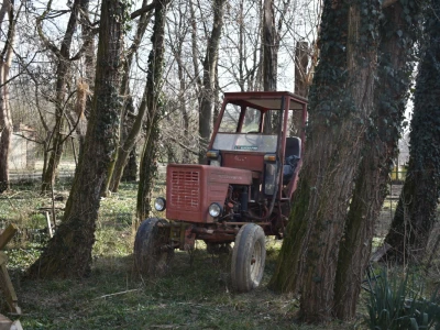 OPG Čudesna šuma